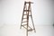 Folding Steps-Ladder for the Library, Czechoslovakia, 1920s, Image 3