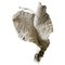 Escultura de hoja gigante de lana de fieltro teñida de forma natural de Inês Schertel, Imagen 1