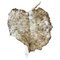 Giant Leaf Sculpture in Naturally Dyed Felted Wool by Inês Schertel 1