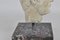 Testa intagliata, XIX secolo, marmo, Immagine 21