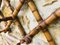 Attaccapanni vintage pieghevole in bambù, anni '30, Immagine 6