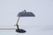 Vintage Tischlampe aus Gusseisen & Messing, 1950er 1