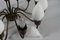 12-Armed Tulip Chandelier in Brass & Hand-Blown Glass from Fog & Mørup, Denmark, 1950s, Image 5