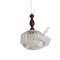 Small Mid-Century Modern Wood and Crystal Glass Oval Hanging Lamp, 1950s, Image 2