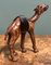 Escultura de camello con cuero envejecido en madera tallada a mano de Liberty London, años 20, Imagen 6