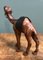 Escultura de camello con cuero envejecido en madera tallada a mano de Liberty London, años 20, Imagen 7