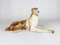 Art Deco Czechoslovakian Borzoi Greyhound Statue in Porcelain from Royal Dux Bohemia, 1960s, Image 6