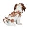 Statuetta cagnolino in porcellana di Meissen, Immagine 4