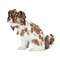 Statuetta cagnolino in porcellana di Meissen, Immagine 6