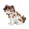Meissen Porzellan Schoßhund Figur 1