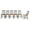 Mid-Century Spindle Back Dining Chairs attributed to Yngve Ekström for Pastoe, Netherlands, 1950s, Set of 6, Image 1
