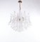 Vintage Petal Chandelier in Clear and White Murano Glass, Italy, 1970s 1