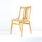 Mid-Century Wooden Dining Chair from Ton, Former Czechoslovakia, 1960s 1