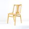 Mid-Century Wooden Dining Chair from Ton, Former Czechoslovakia, 1960s, Image 1