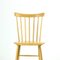 Mid-Century Ironica Chair in Oak Wood by Ton, Czechoslovakia, 1960s, Image 14