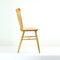 Mid-Century Ironica Chair in Oak Wood by Ton, Czechoslovakia, 1960s 8