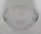 Large Moon Glass Bowl by Anna Torfs2004 5