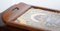 Brasilianisches Vintage Holz Tablett mit Echt Morpho Schmetterlingsflügeln 3