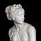 After Antonio Canova, Venus Italica, 1890s, Carrara Marble Sculpture 6