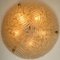 Massive Handmade Glass and Brass Flush Mount or Wall Light from Hille, 1960s 10