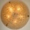 Massive Handmade Glass and Brass Flush Mount or Wall Light from Hille, 1960s, Image 10