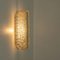 Textured Clear Glass Wall Lights attributed to Kaiser Leuchten, 1970s, Set of 2, Image 4