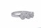 18 Karat White Gold Ring with Diamonds 2