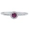 18 Karat White Gold Ring with Ruby and Diamonds 1