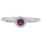 18 Karat White Gold Ring with Ruby and Diamonds, Image 1