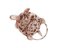 Rose Gold and Silver Turtle Ring with Rubies and Diamonds 3