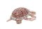 Rose Gold and Silver Turtle Ring with Rubies and Diamonds 2