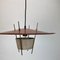 Modernist Hanging Light attributed to Ernest Igl for Hillebrand, Germany, 1960s 4