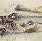 Manfred K. Schwitteck, Natura morta con lische di pesce, matita e temperamatite, 1992, acquerello e matita, con cornice, Immagine 2
