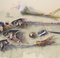 Manfred K. Schwitteck, Still Life with Fish Bones, Pencil and Pencil Sharpener, 1992, Watercolor & Pencil, Framed 2