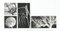 Fotografie in bianco e nero su tavola, anni '60-'70, set di 4, Immagine 1