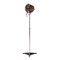 Globe Floor Lamp with Smoked Glass by Frank Ligtelijn for Raak, 1960s, Image 1