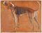 Retratos de perros, siglo XX, óleo sobre lienzo. Juego de 2, Imagen 3