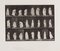 Eadweard Muybridge, Animal Locomotion: Plate 299, 1887, Collotype 1