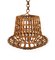 Mid-Century Bamboo and Rattan Hanging Lamp in Louis Sognot Style, 1960s, Image 9