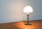 German WG24 Table Lamp by Wilhelm Wagenfeld for Tecnolumen, Image 15