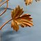 Italian Wall Lamp with Sculpted Wooden Leaves 7