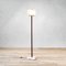 Mod. LTE8 Floor Lamp by Ignazio Gardella for Azucena, 1956 2