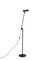 Sintesi Floor Lamp by Ernesto Gismondi for Artemide, Italy, 1970s, Image 2