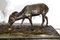 JB. Mêne, Groupe Animalier, Fin des années 1800, Bronze 8