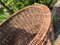 French Rustic Oval Willow Wicker Basket, 1960s 4