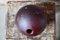 Pallone da gioco Saint Galls, anni '30, Immagine 5