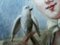 Miniaturporträt einer Frau mit Taube von Canava 6