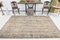 Vintage Beige Pompous Rug 3