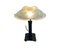 Vintage Art Deco Opaleszierende Lampe von Avesn France, 1925 4