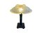 Vintage Art Deco Opaleszierende Lampe von Avesn France, 1925 1